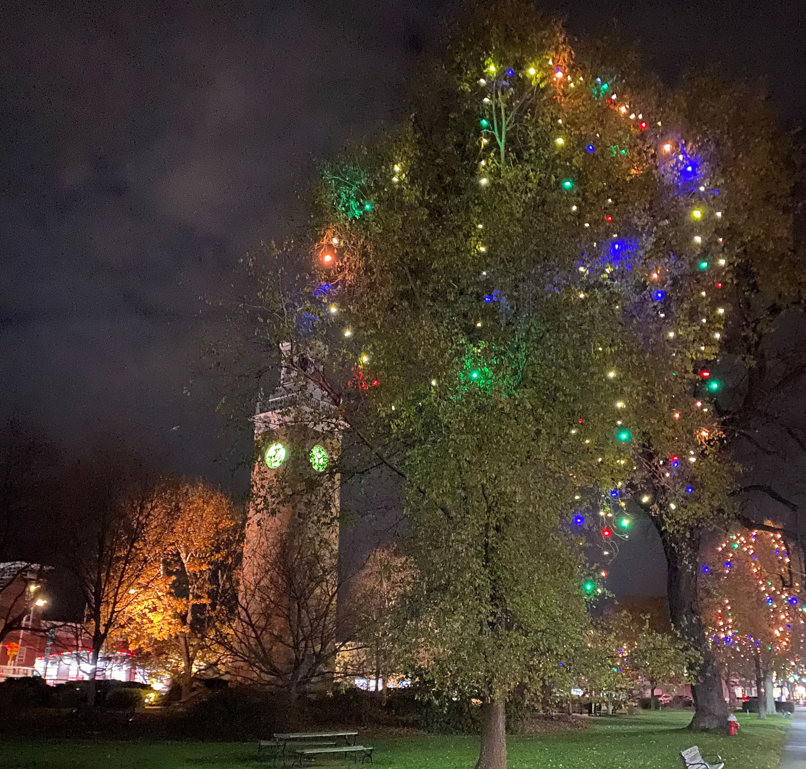 Clock Tower Lights_cropped