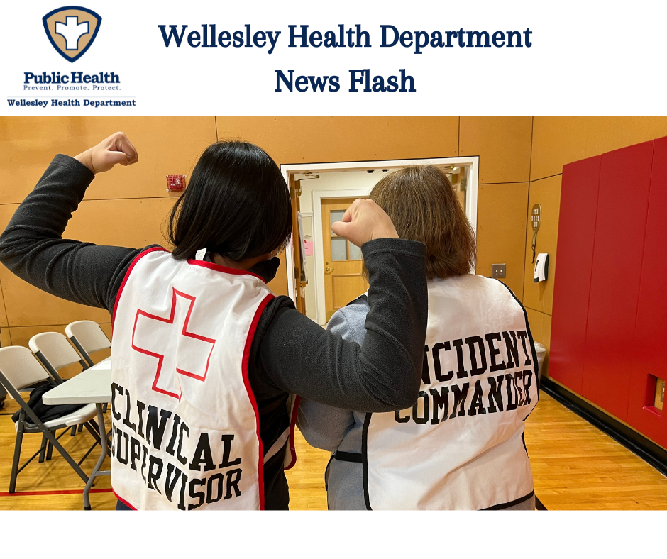 WHD Newsletter Header