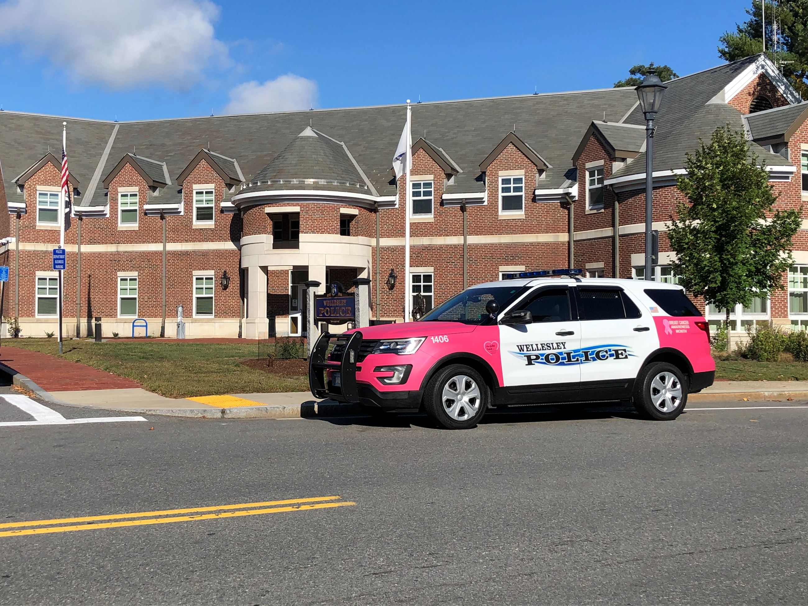 WPD Pink 1406 Cruiser