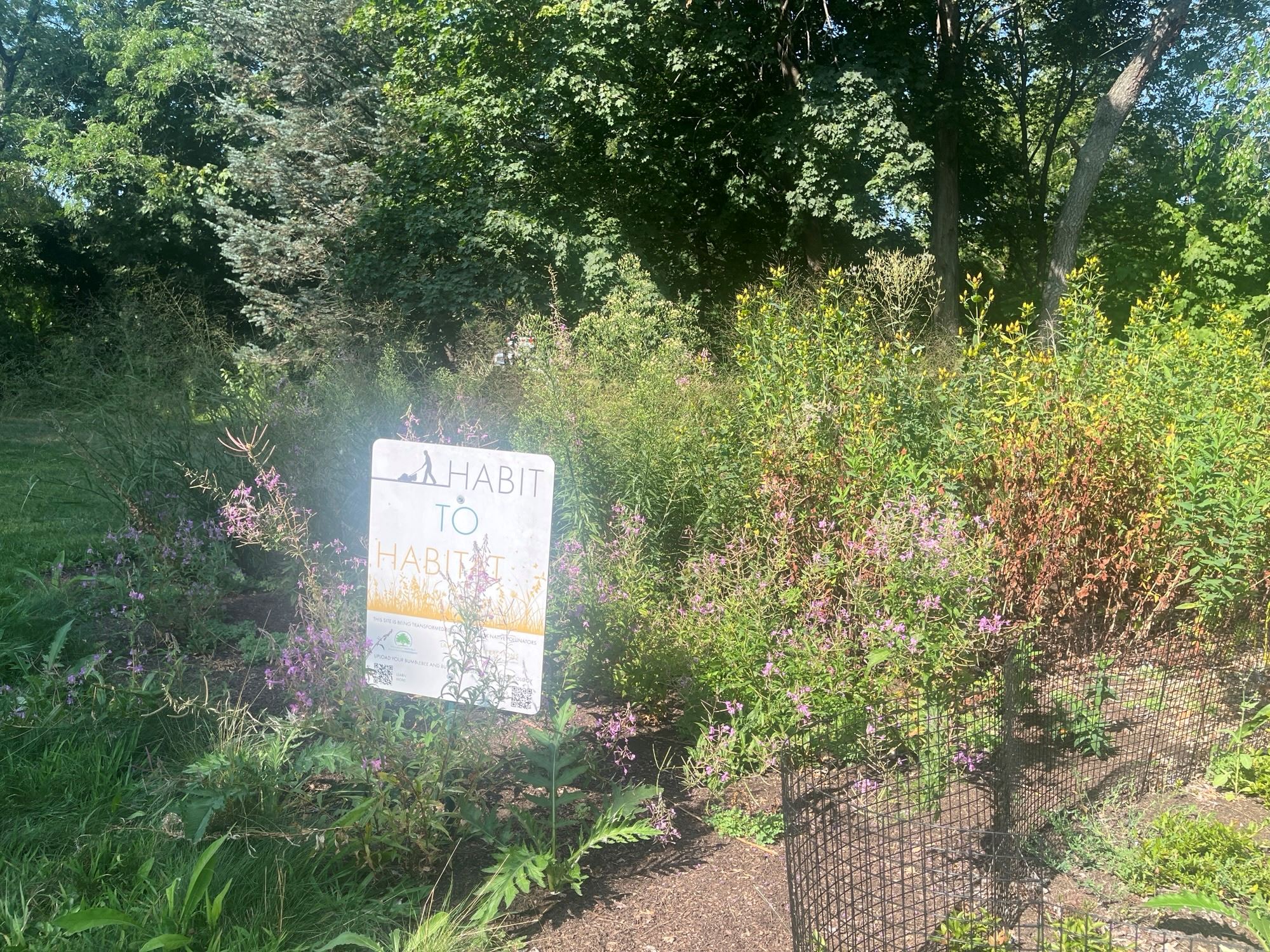 Simons Park pollinator garden with Habit to Habitat sign